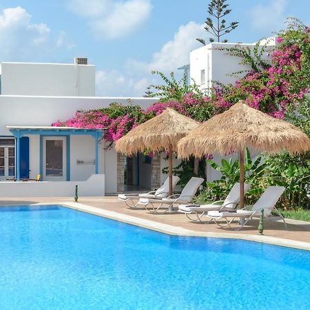 Aggeliki'S Diamond Aparthotel Agia Anna  Rom bilde