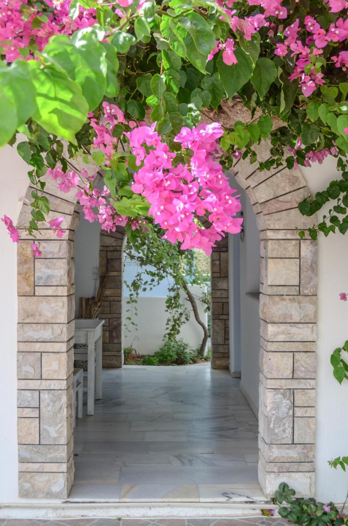 Aggeliki'S Diamond Aparthotel Agia Anna  Eksteriør bilde